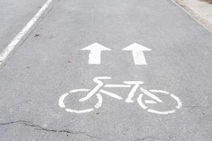 Road markings of a bicycle path in a park on a riding lane. A sidewalk for pedestrians and a lane for cyclists. Rules of road safety, active recreation area photo