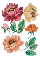 watercolor flower blossom vector