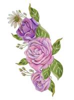 pink rose watercolor bouquet vector