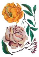 watercolor flower peony element vector