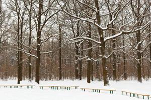 snow covered benches and trees in city park photo