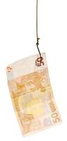 fishing with 50 euro banknote lure on fishhook photo