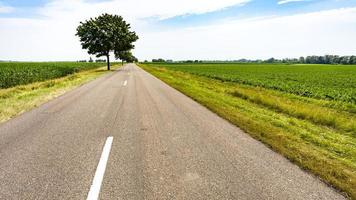 country road between fields in Alsace region photo