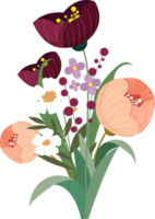 decorativa botánica colorida clásica png