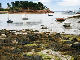 ships in Port-Clos harbour of Ile-de-Brehat photo