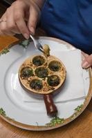 baked snail in local french restaurant photo