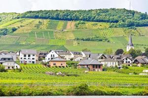 viñedos en colinas y pueblo de ellenz poltersdorf foto