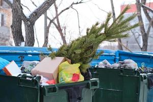 Christmas tree is thrown into trash can.The end of the Christmas and New Year holidays. photo