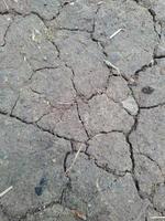 cracked dry ground photo