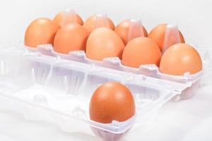 un huevo de gallina contra varios huevos marrones foto