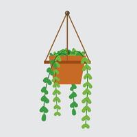 Flat hanging plant with pot background vector