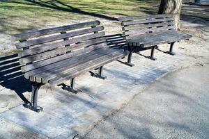 garden bench in Boston city park photo