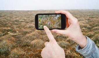 turista tomando una foto de la planta en la tundra ártica