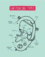 Ear-piercing diagram. Top different types of ear-piercing trendy positions vector