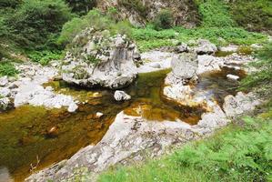 river in mountain national park Picos de Europa photo