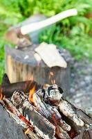 firewood burning in rusty brazier close up photo