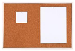 two sheets of paper on bulletin cork board photo