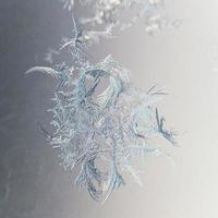 snowflake closeup on window pane photo