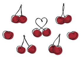 Vector cherry clipart. Hand drawn berry icon. Set of fruit illustration