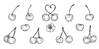 Vector cherry clipart. Hand drawn berry icon. Set of fruit illustration