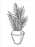 Cute hand drawn houseplant in a pot clipart. Plant illustration. Cozy home doodle vector