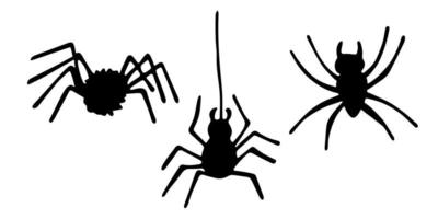 Simple hand drawn spider clipart. Halloween doodle for print, web, design, decor, logo vector