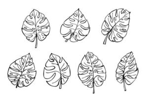 conjunto de ilustración de hojas de monstera tropical simple. imágenes prediseñadas vectoriales dibujadas a mano. garabato botánico vector