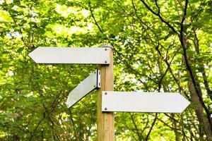 arrows in forest on Gerolsteiner mountain photo