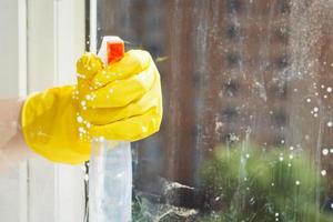 cleaning window glass from spray bottle photo