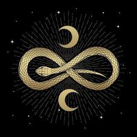 Infinity snake symbol decorated with crescent moon vector