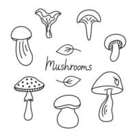 Mushrooms groovy doodle cartoon set. Different types of mushrooms autumn collection. Black outline isolated on a white background. Hand drawn cute lineur vector illustration.