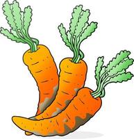 freehand drawn cartoon carrots vector