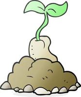 freehand drawn cartoon sprouting seed vector