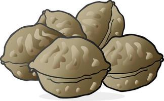 freehand drawn cartoon walnuts in shell vector