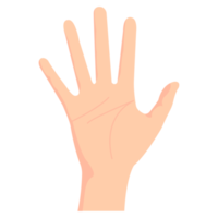 Hand body gesture ATL png