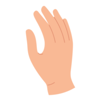 Hand body gesture ATL png