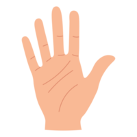 Hand body gesture ATL png