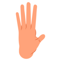 Hand body gesture ATL png