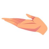 Hand-Körper-Geste atl png