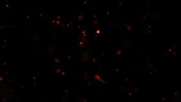 Loop red bokeh particles falling down  on black background. video