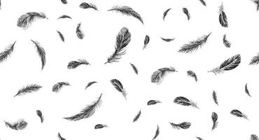 Set of bird feathers. Hand drawn sketch style. vector