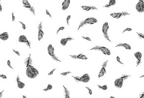 Set of bird feathers. Hand drawn sketch style. vector