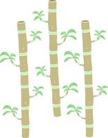 flat color illustration of bamboo vector