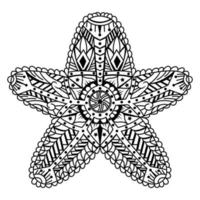Starfish line art vector