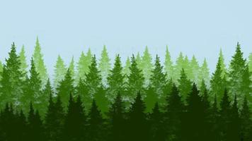 paisaje forestal, fondo de ilustración vectorial vector