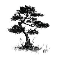 bonsai asian tree retro old line art etching vector