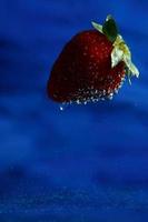 Strawberry in blue photo