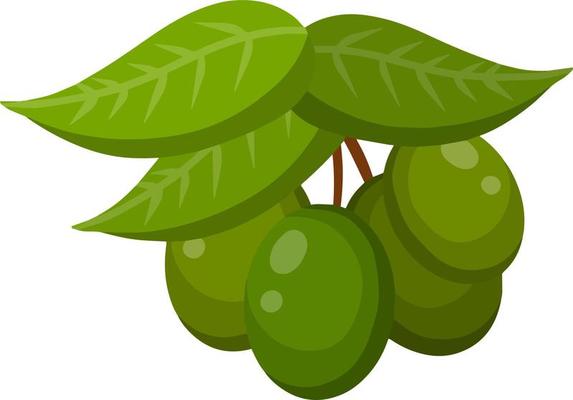 Olive Cartoon Vector Art, Icons, and Graphics for Free Download