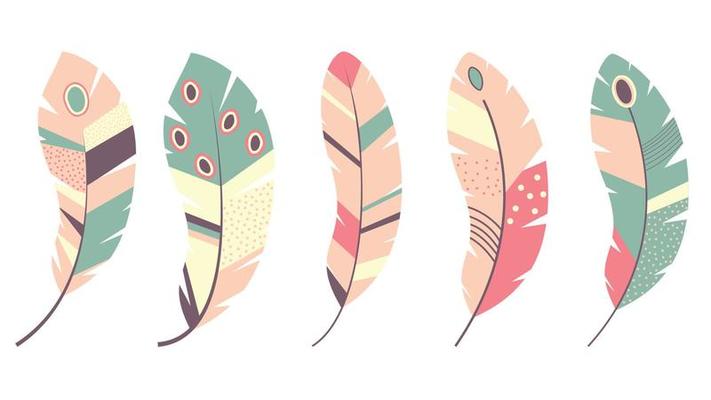 colorful feathers set