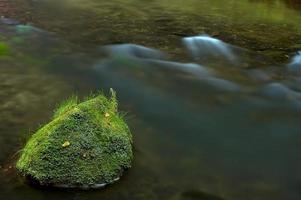 Stone in water photo